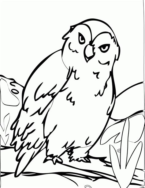 Free Printable Arctic Animals Coloring Pages - Coloring Home