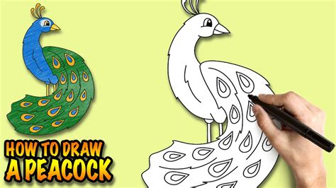 Peacock Drawing Kids at GetDrawings | Free download