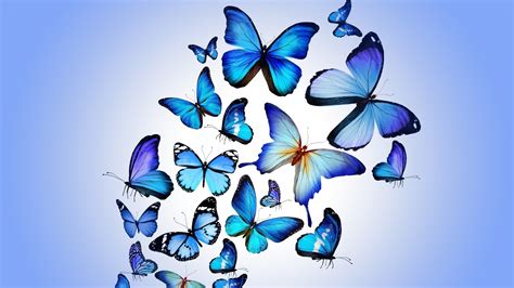 Animated Butterflies Wallpaper