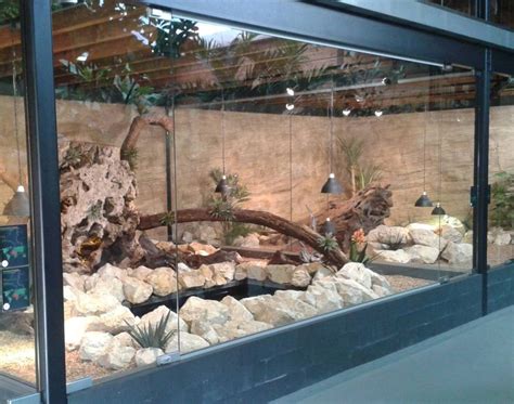 enclosure reticulated python | Reptile house, Reticulated python, Snake ...