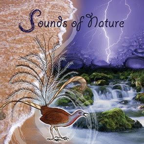 Sounds of Nature MP3 - Quiet Earth