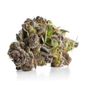 Shiny Bud: Cannabis Dispensaries Ontario | Shiny Bud Infos & Review | The PotAdvisor