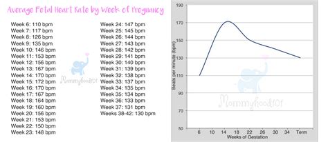 Fetal Heart Rate Chart By Week