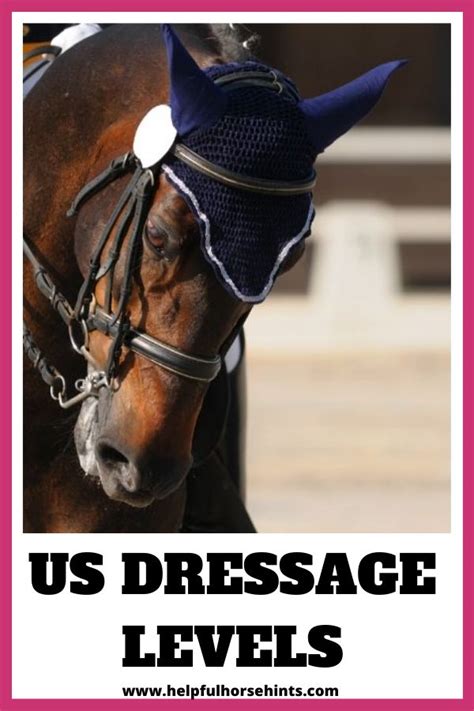 Dressage Levels - Scoring, Concepts, and Movements Required | Dressage ...