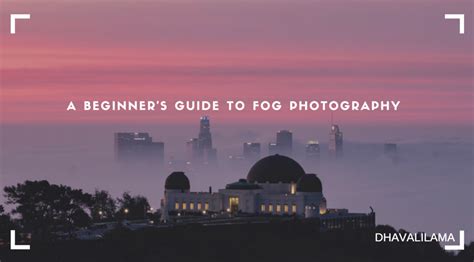 A Beginner's Guide to Fog Photography