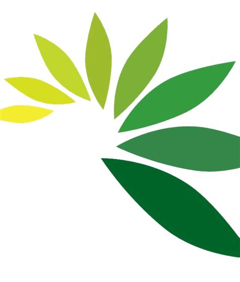 Leaf PNG Transparent Images | PNG All