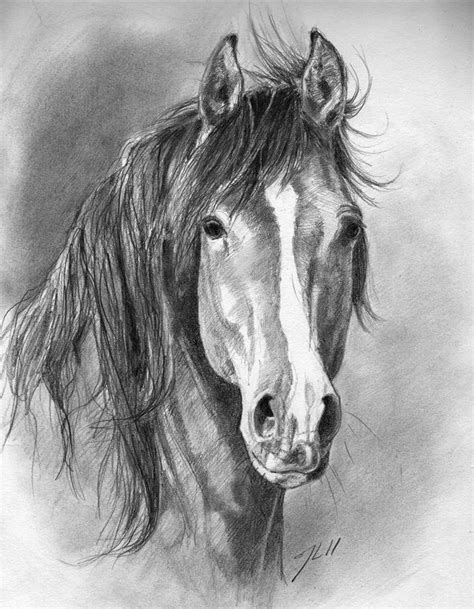 Sha by theOvercoat.deviantart.com on @deviantART horse art with a blaze ...