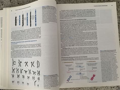 Human Molecular Genetics Book, 4th edition, Tom Strachan | Kaufen auf ...