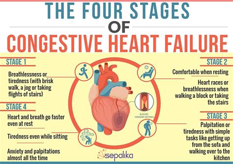 Congestive Heart Failure (CHF): Symptoms, Stages, Life Expectancy | Heart failure nursing, Heart ...