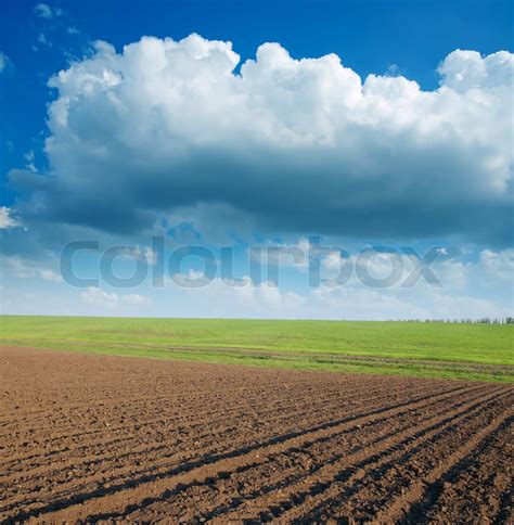 ploughed field | Stock image | Colourbox