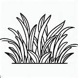 Grass  Animal Food Coloring Pages Plants World Grass Coloring sketch template