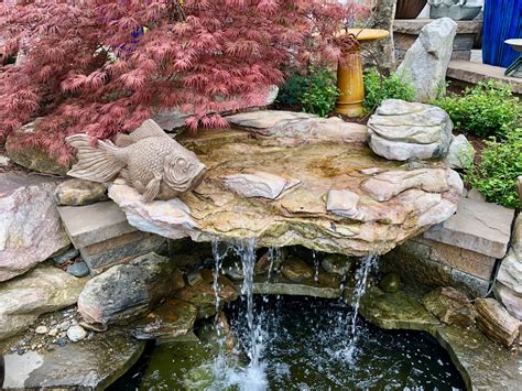 Backyard Waterfall Ideas for Your Home - Tim Kyle Electric