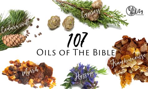 107 Oils of The Bible - Oil Ability Team