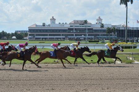 Gulfstream Park Championship Meet to Begin Dec. 2 - BloodHorse