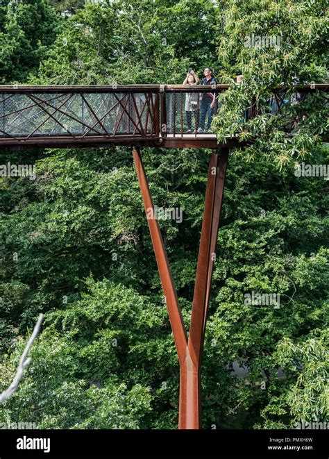 Tree Top Walkway - Kew Gardens Stock Photo - Alamy