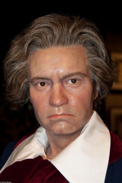 Ludwig van Beethoven (17.12.1770 - 26.03.1827) Map it: Street ...