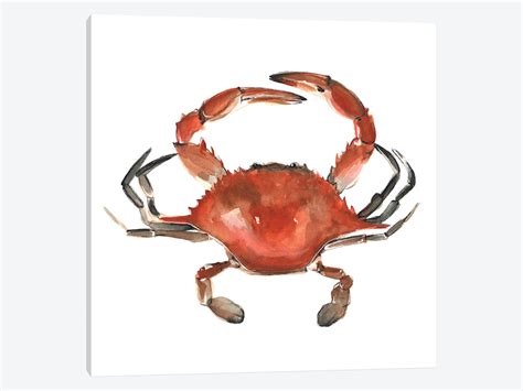 Watercolor Crab at GetDrawings | Free download