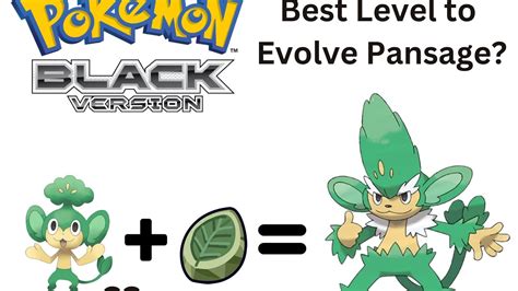 Best Level to Evolve Pansage in Pokemon Black 🫰🏻 - YouTube