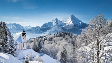 Bavarian Forest National Park in Germany (Europe) | National parks, Bavarian forest, Europe ...