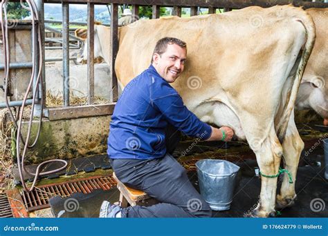 Milking a cow stock image. Image of action, calcium - 176624779