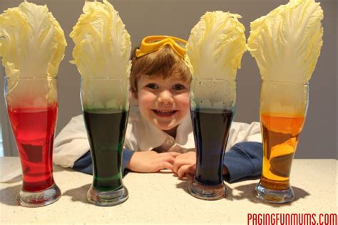 Fun Science Experiment! - Learning how plants absorb water! - Paging Fun Mums | Cool science ...