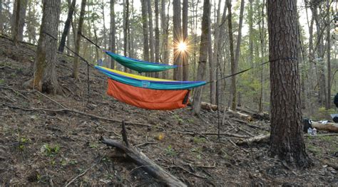 Davy Crockett National Forest and Big Slough Wilderness Area - Realest ...