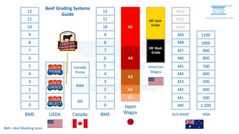 6 Beef Grading Systems In the World (with Complete Chart)