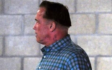 Arnold Schwarzenegger Defends His Honor, Silly New Haircut