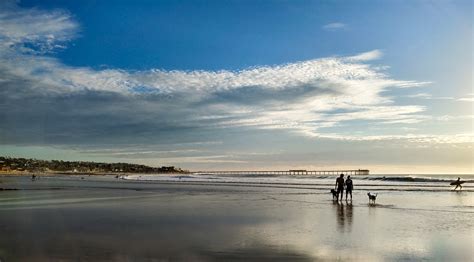 Dog Beach | Ocean Beach San Diego CA