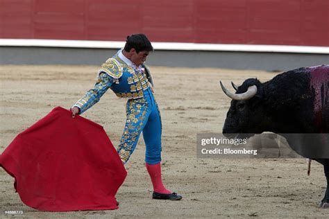 A matador and bull are pitted against each other during a bull fight ...