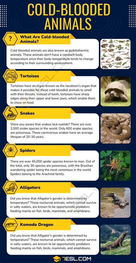 Chart Of Cold Blooded Animals