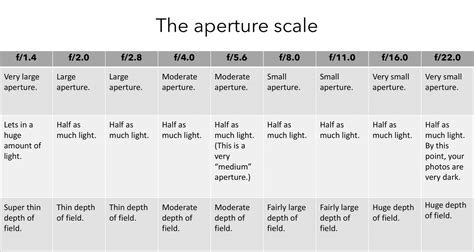 Understanding Aperture for Beginners - Photography Basics