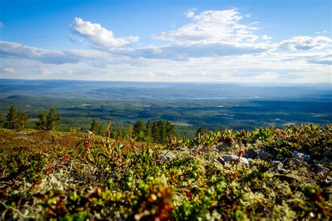 Att cykla MTB på Idre Fjäll - Elna Dahlstrand