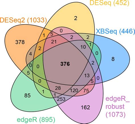 Venn diagram - 5 circles | Information visualization, Venn diagram, Diagram