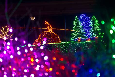 More than 700,000 LEDs light up Point Defiance Zoolights – Itty Bitty Atlas