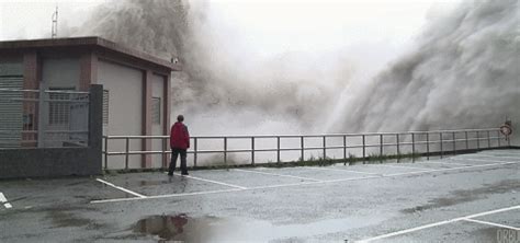 Taiwan Typhoon GIF - Find & Share on GIPHY