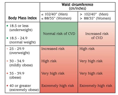 Identify your healthy weight - Coping With Cholesterol