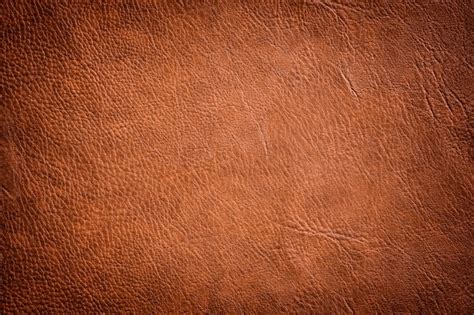 Brown Leather Vectors, Photos and PSD files | Free Download