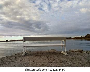 Bench Sunset Stock Photo 1241836480 | Shutterstock