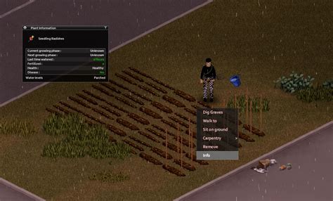 Project Zomboid Farming Guide - How to Farm in Build 41 — Set Ready Game