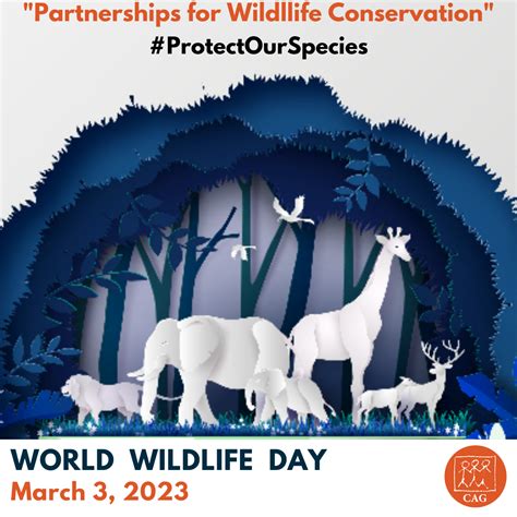 World Wildlife Day 2023 | Climate Connection