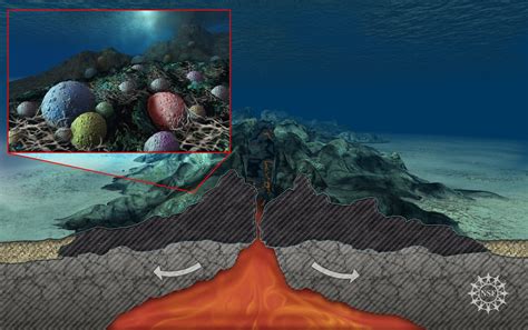 Multimedia Gallery - Life in deep sediment of ocean's deadest region ...