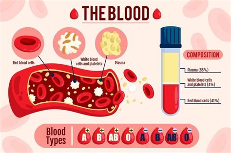 Struktur dan Fungsi: Plasma Darah dan Sel Darah Merah (Eritrosit) - Adjar