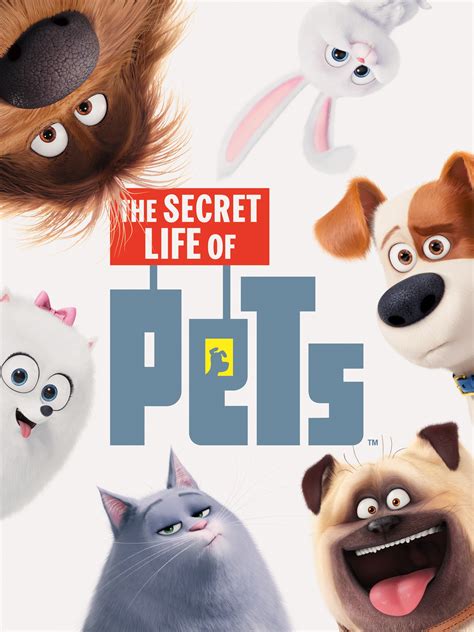 The Secret Life of Pets: Official Clip - Max Meets Duke - Trailers ...