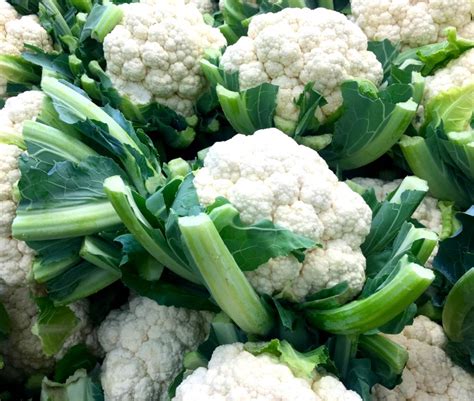 cauliflower-harvest