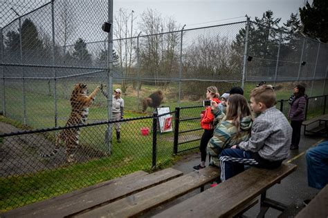 Greater Vancouver Zoo plans major revamp with safari-style park, as concerns remain over animal ...