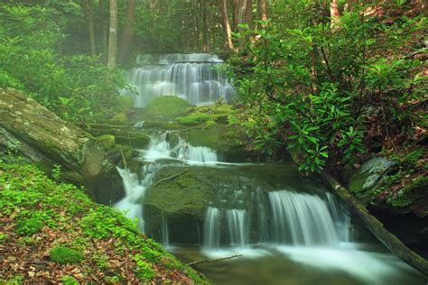 Free picture: water, waterfall, wood, stream, nature, leaf, river, moss, creek