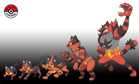 Pokemon Litten Evolution Chart – Christmas 2022