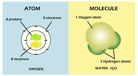 Difference Between Atom And Molecule - Nauger