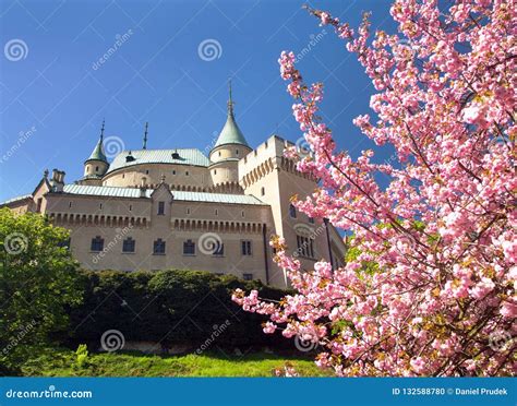 Bojnice Castle Near Prievidza Town, Slovakia, Europe Stock Photo - Image of flowering, park ...